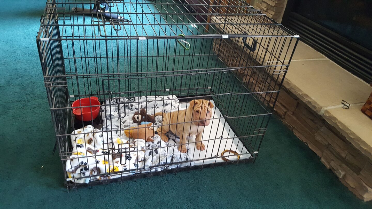 So tiny