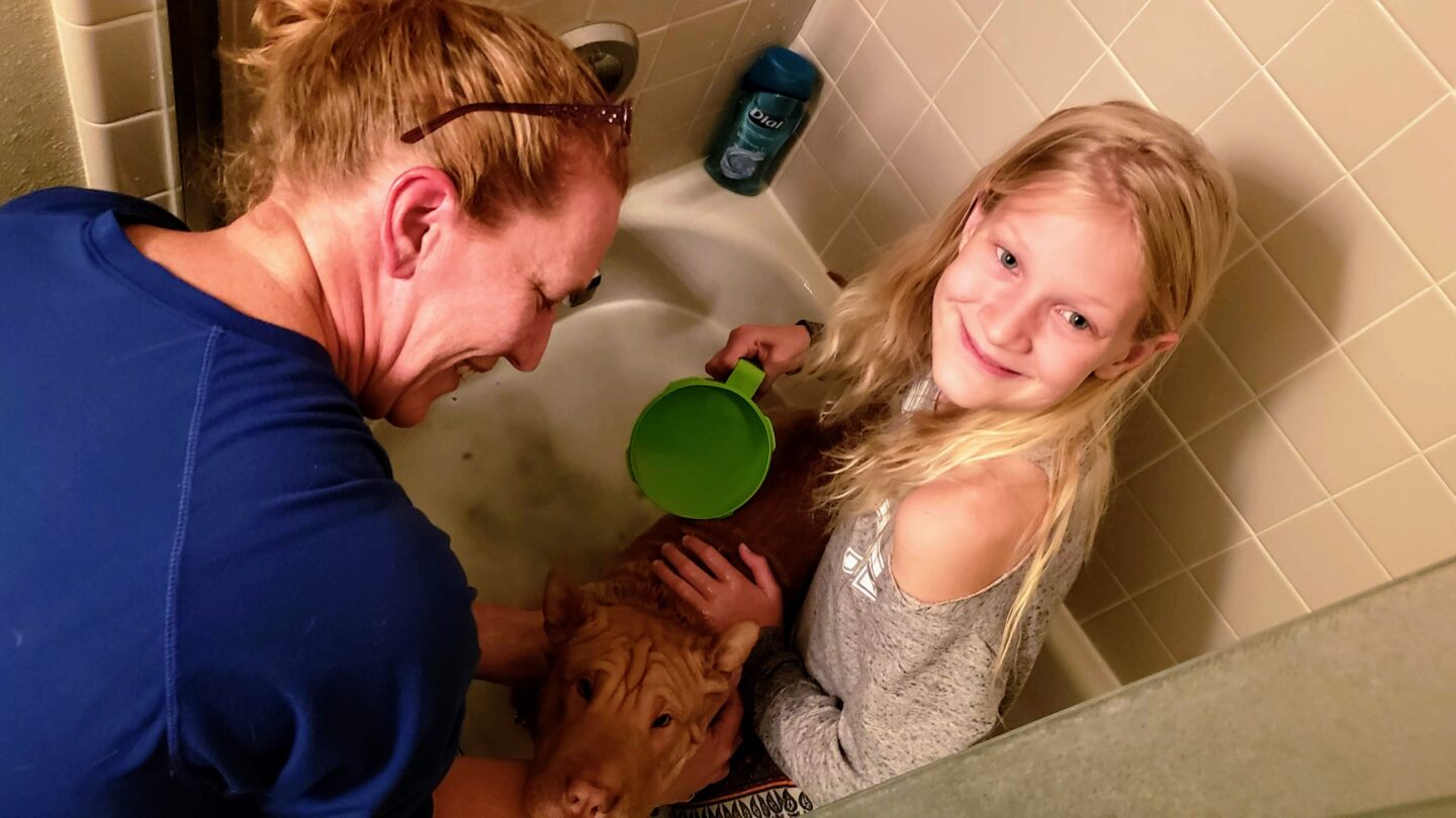 Oh no, bath time?