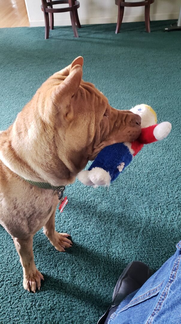 Mr. Bill was one of his favs