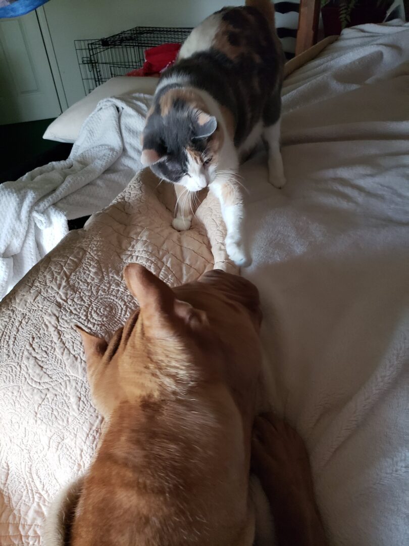Brother and sister