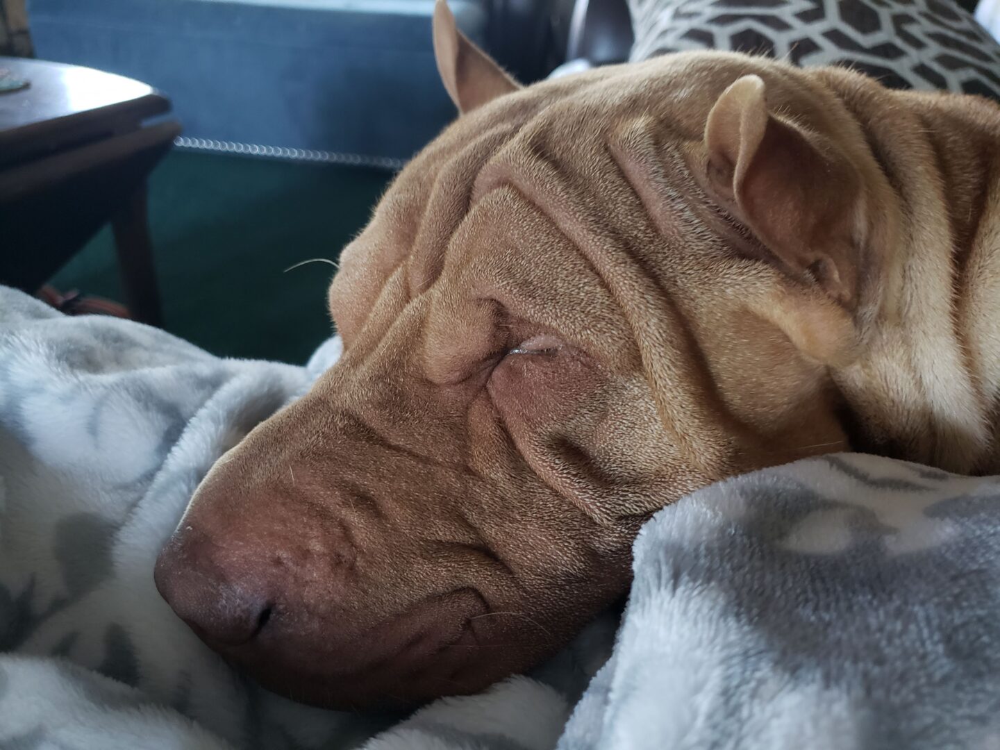 Lazy days