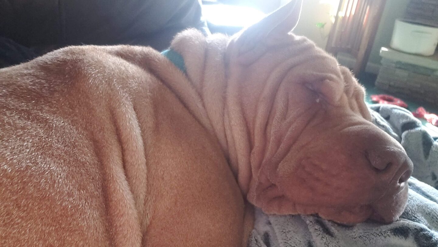More restin'