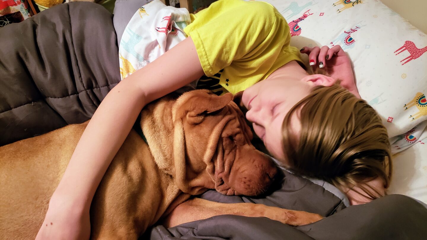 Cuddle buddies