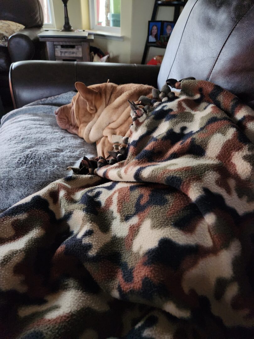 More couch time