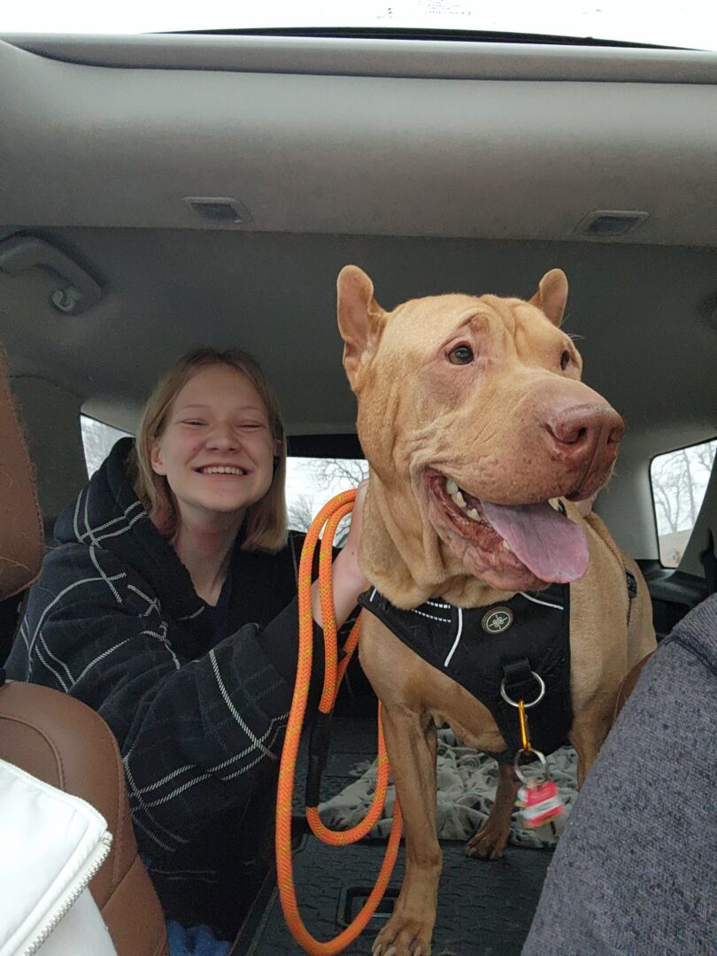 Are we there yet?