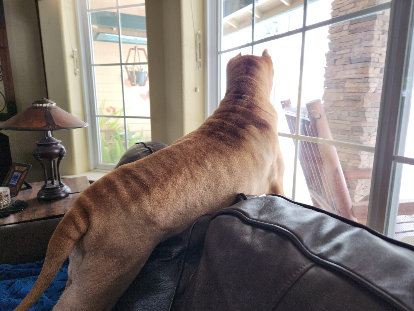 Where's Mama?