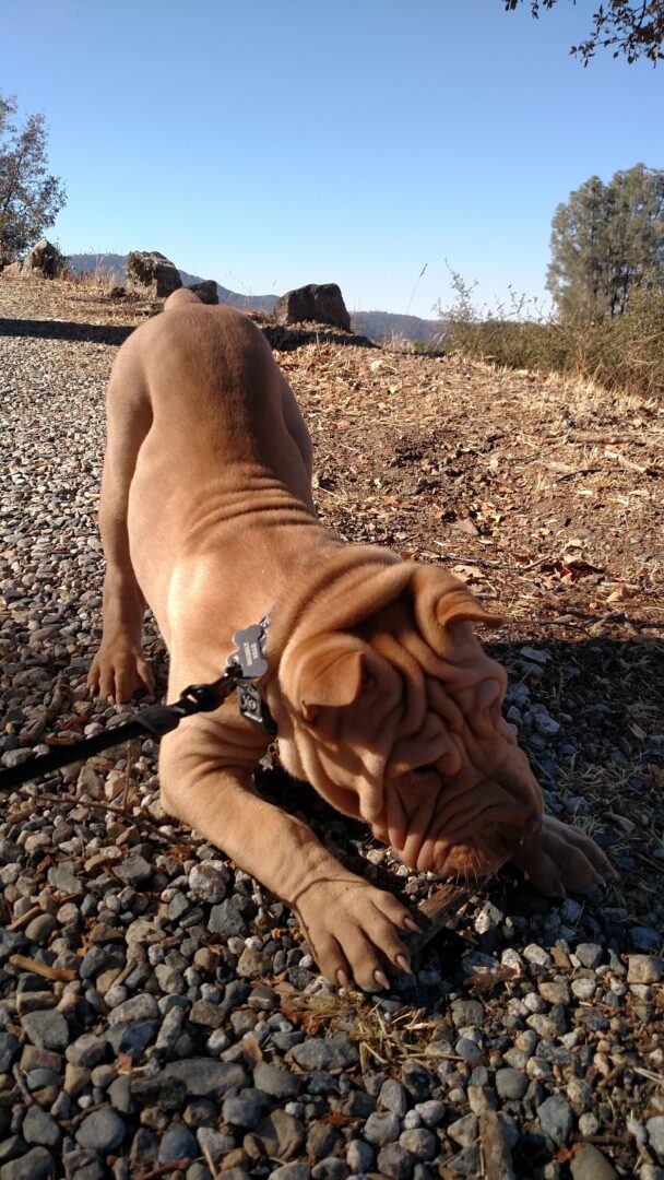Stretch...