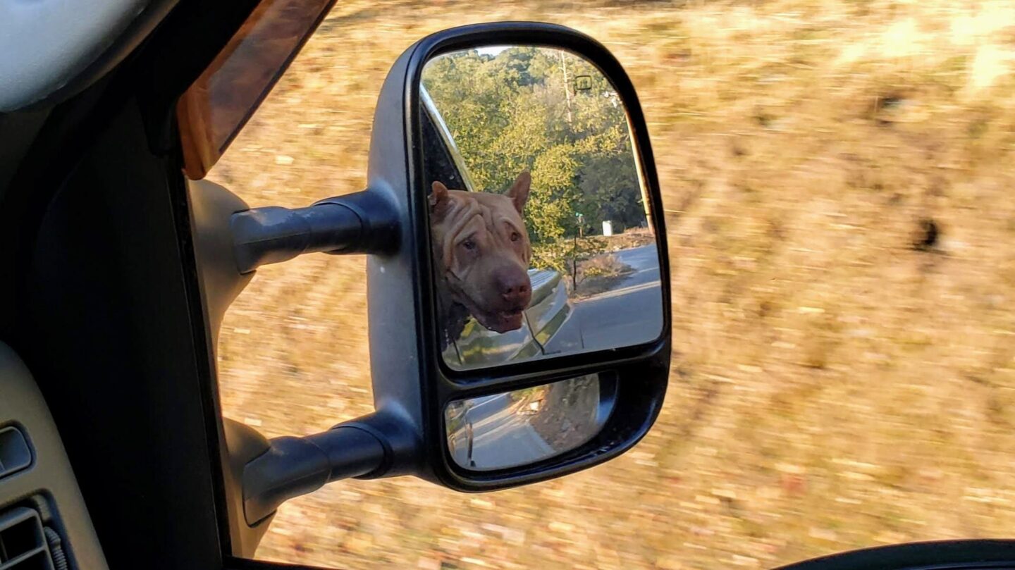 Rides in the truck