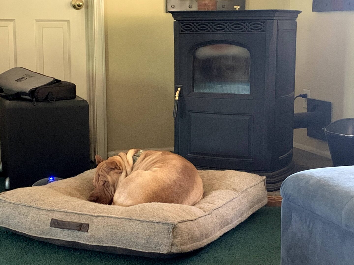 All curled up
